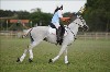 UKPA  NC Sat_1451